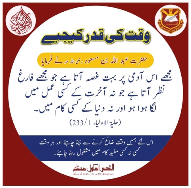 Person holding a green plant