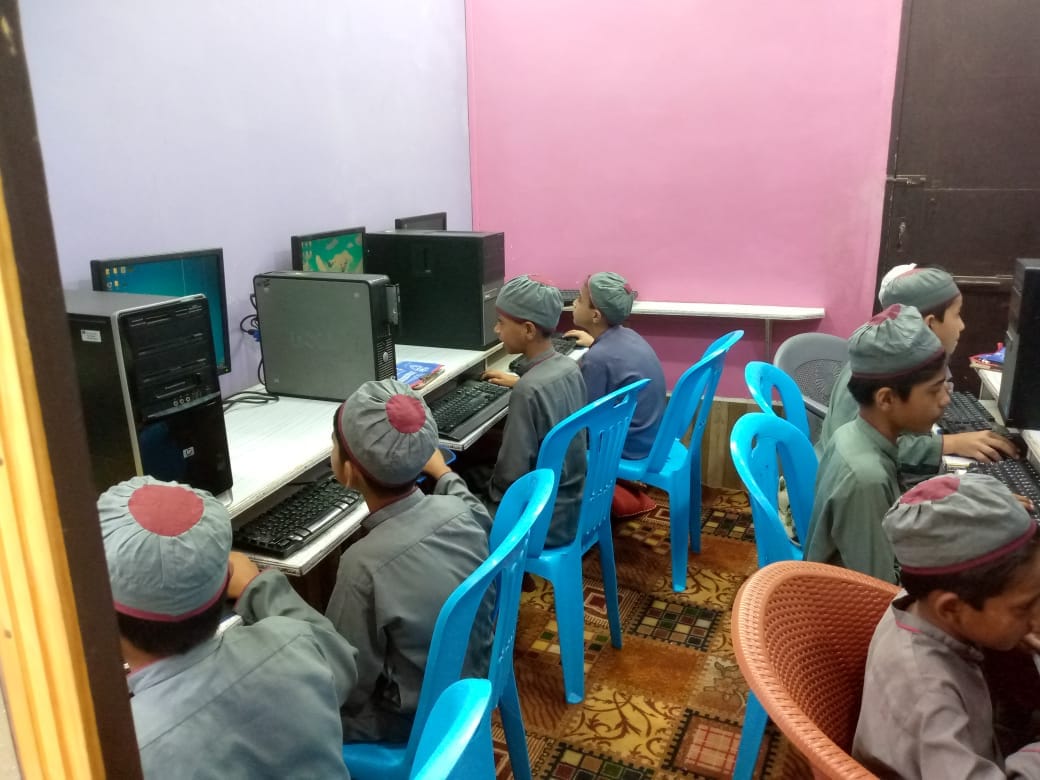 Person holding a green plant